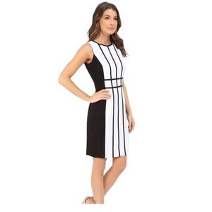 Calvin Klein Color Block Black/White Cage Dress